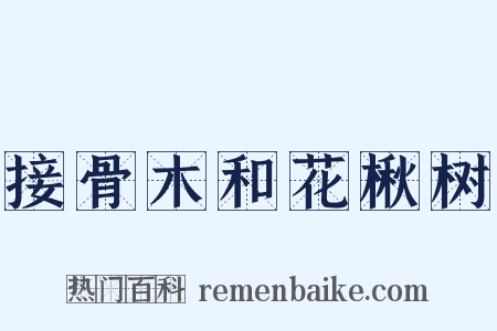 接骨木和花楸树是什么意思的图片